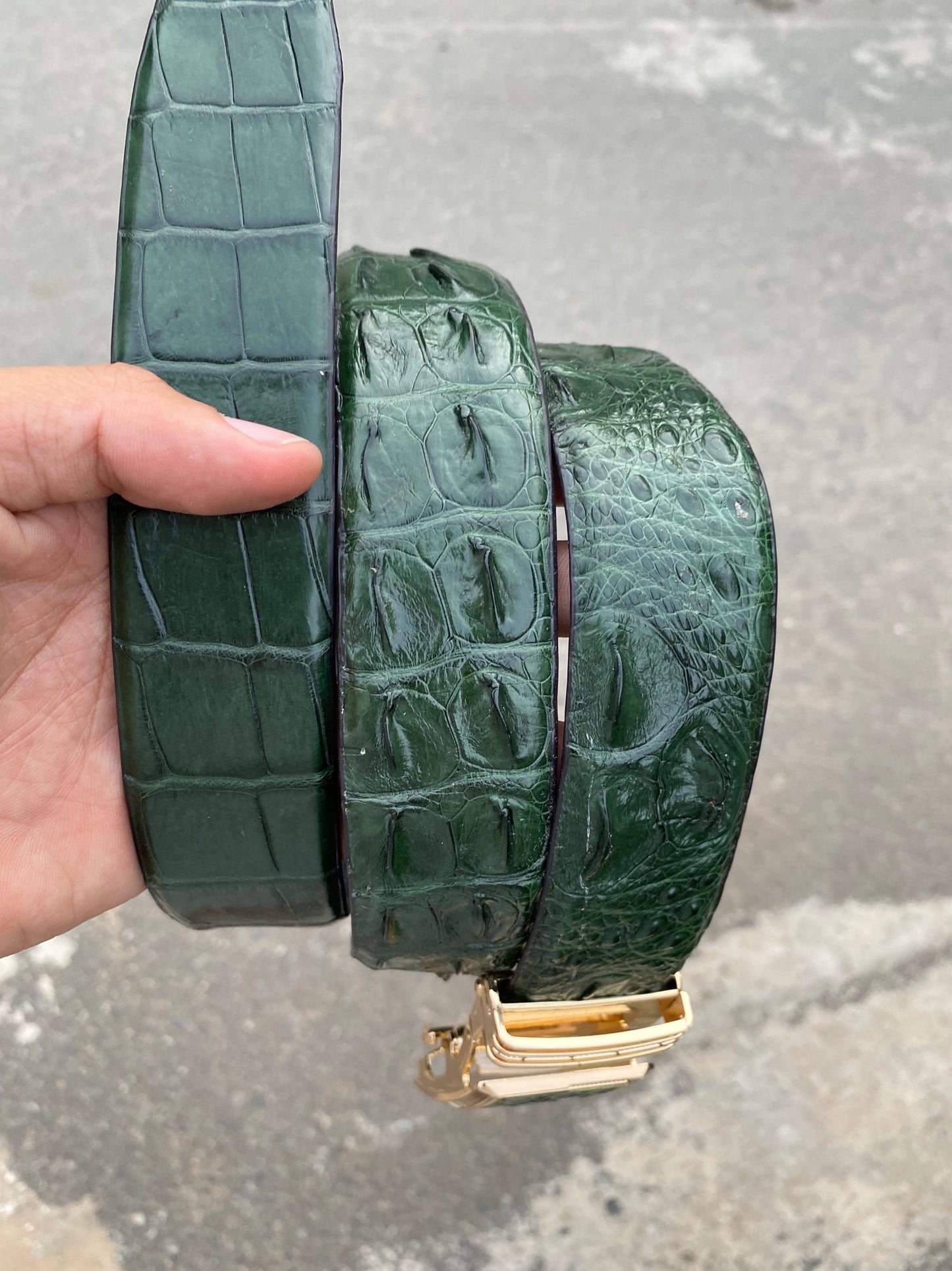 Dark Green Genuine alligator skin belt for men witdh 3.8cm