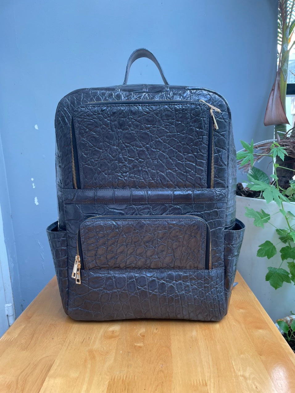 Dark gray crocodile belly leather luxury backpack