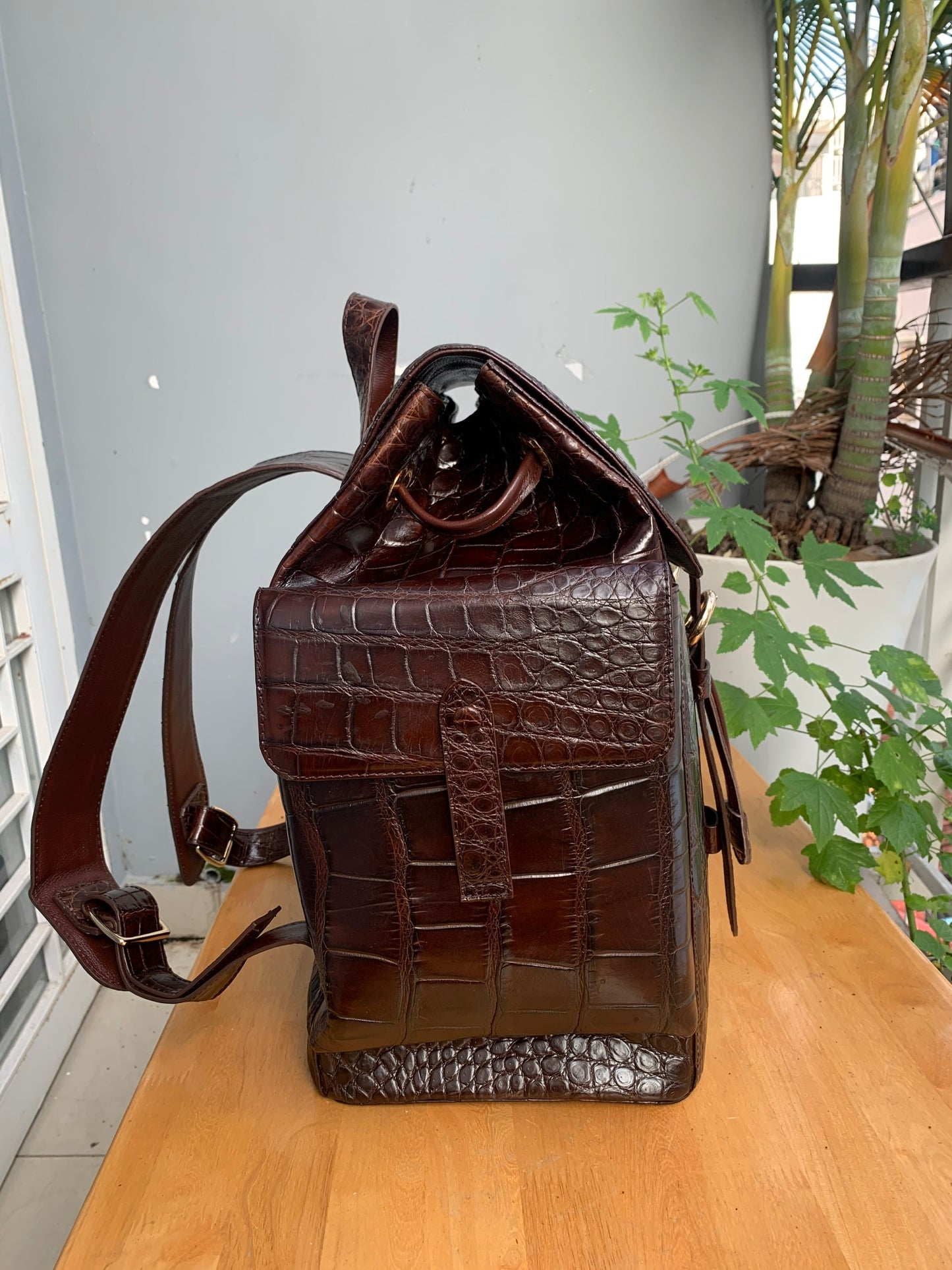 Brown Genuine crocodile belly leather luxury backpack