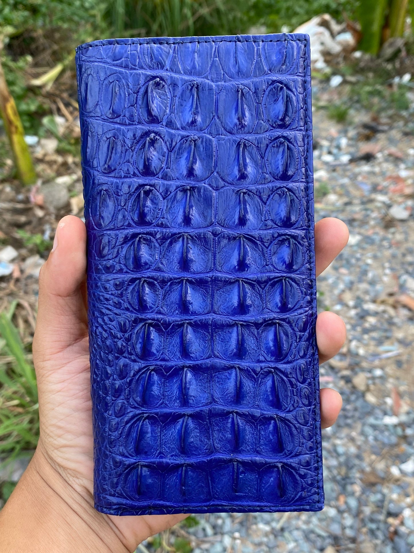 Blue genuine alligator leather long wallet for men and women