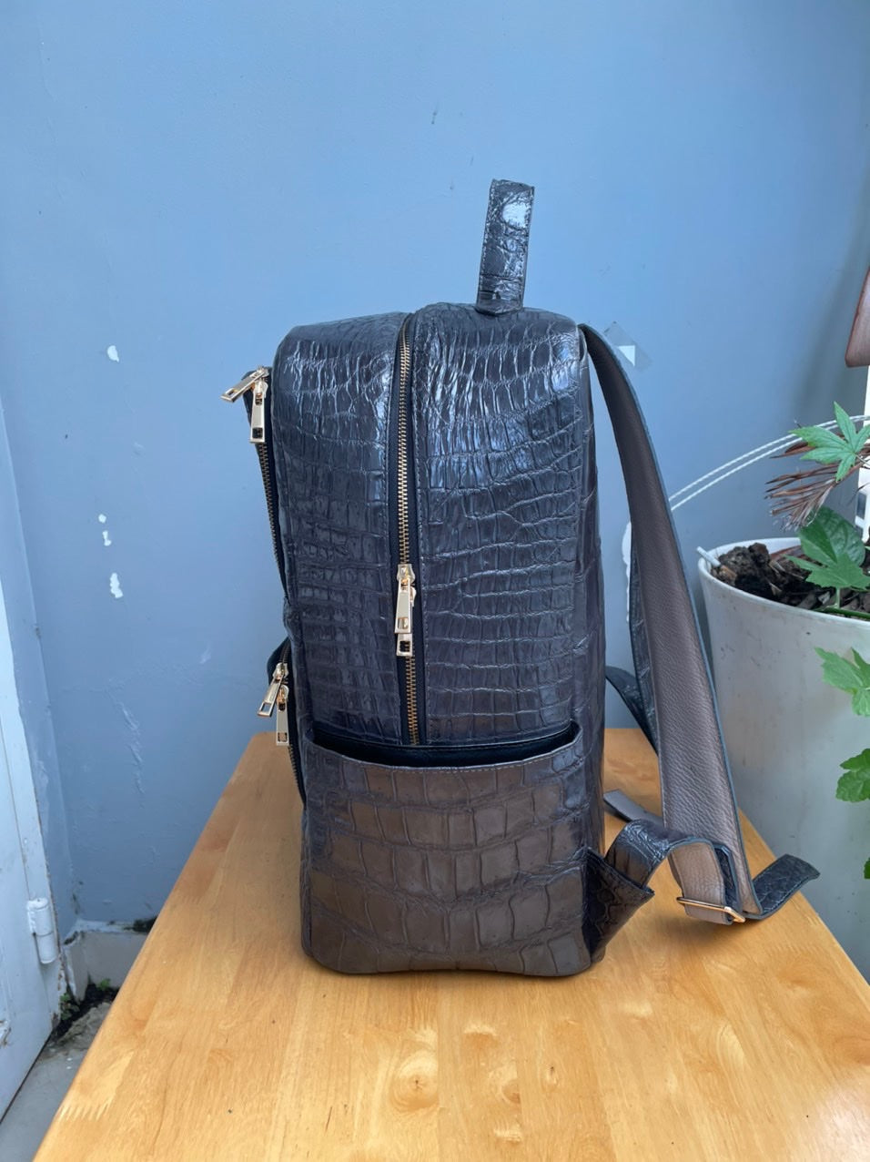 Dark gray crocodile belly leather luxury backpack