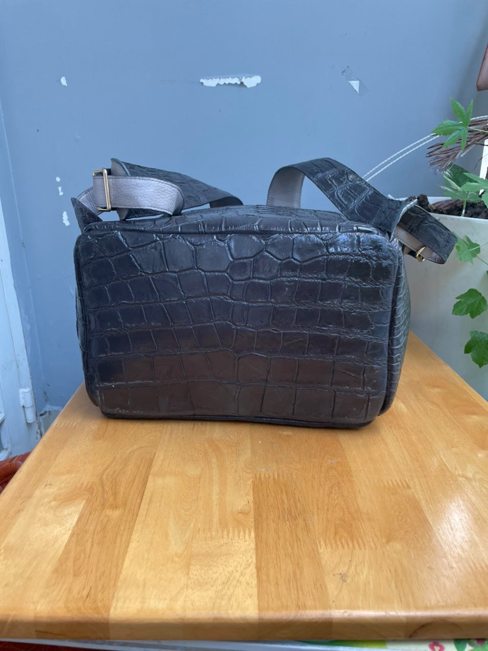 Dark gray crocodile belly leather luxury backpack