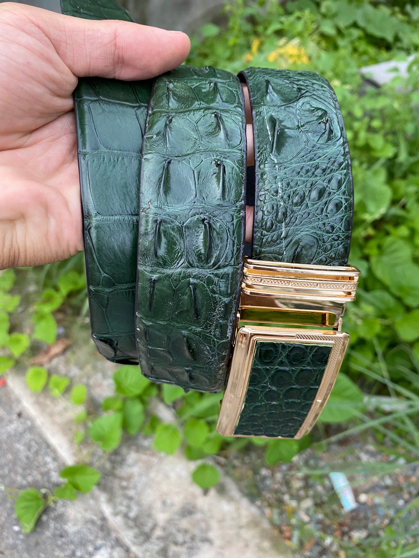 Dark Green Genuine alligator skin belt for men witdh 3.8cm