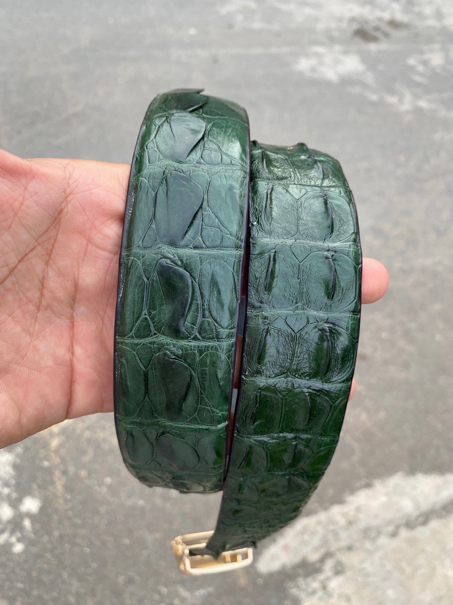 Dark Green Genuine alligator skin belt for men witdh 3.8cm