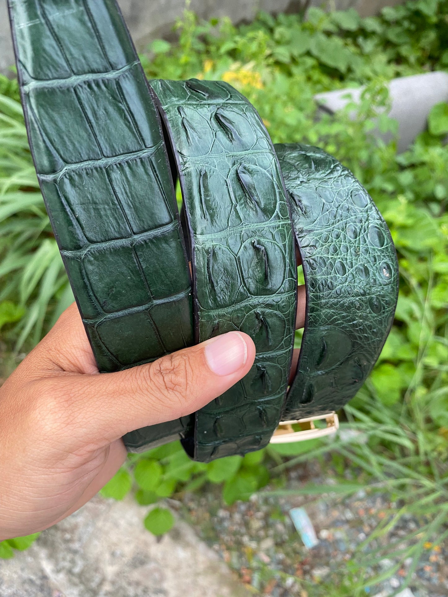 Dark Green Genuine alligator skin belt for men witdh 3.8cm