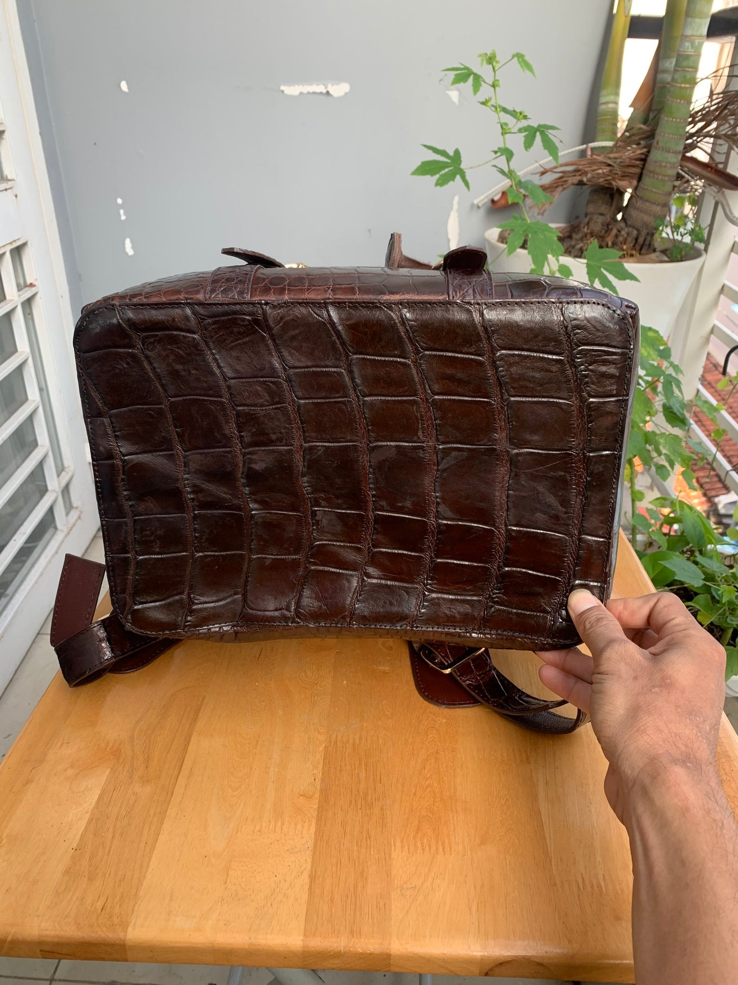 Brown Genuine crocodile belly leather luxury backpack