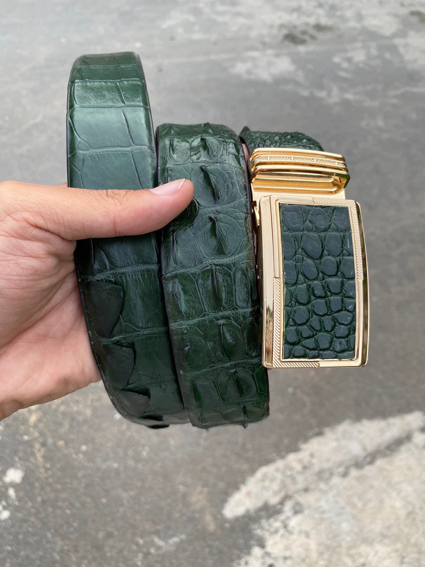 Dark Green Genuine alligator skin belt for men witdh 3.8cm