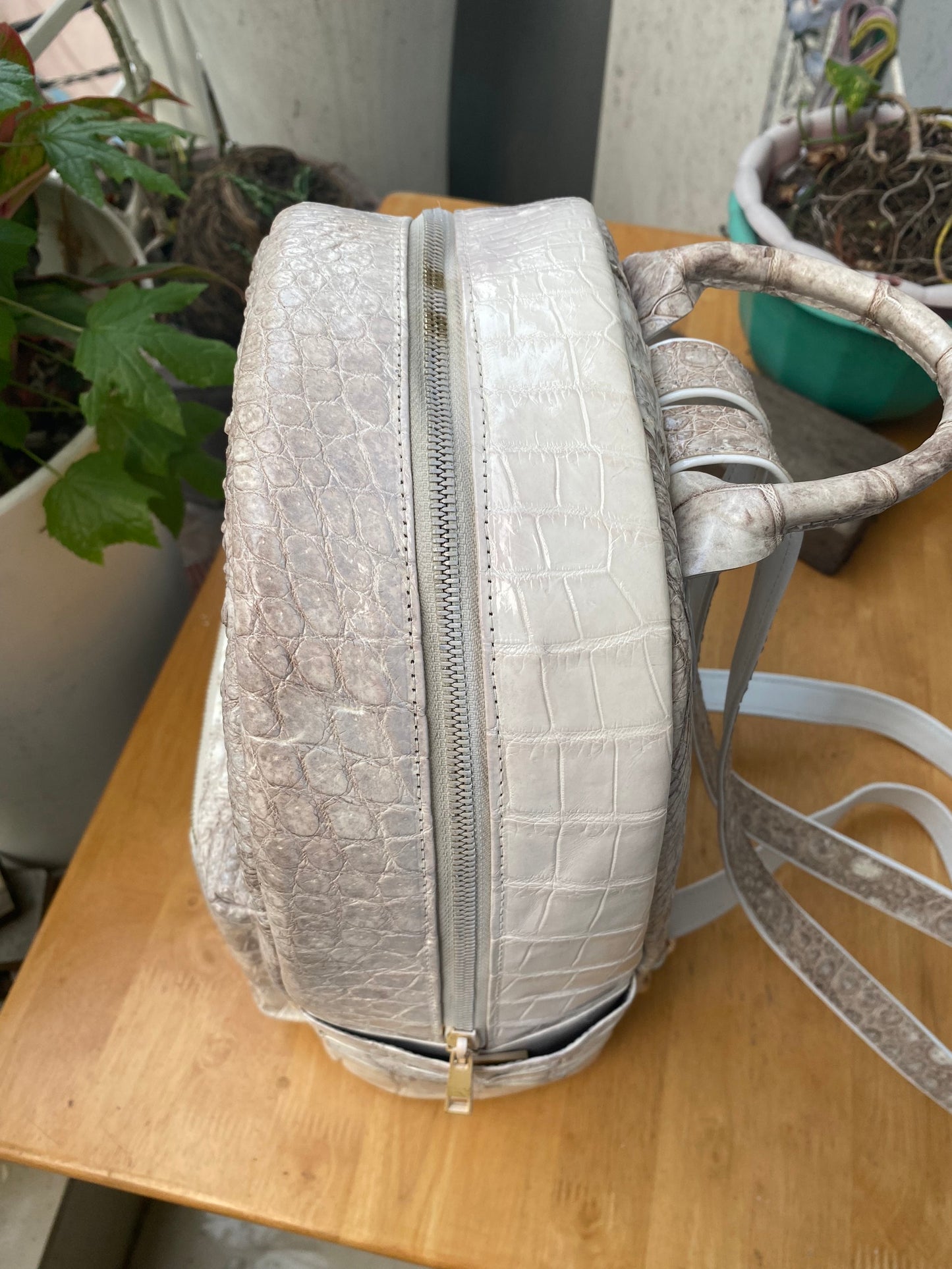 Albino crocodile leather luxury backpack