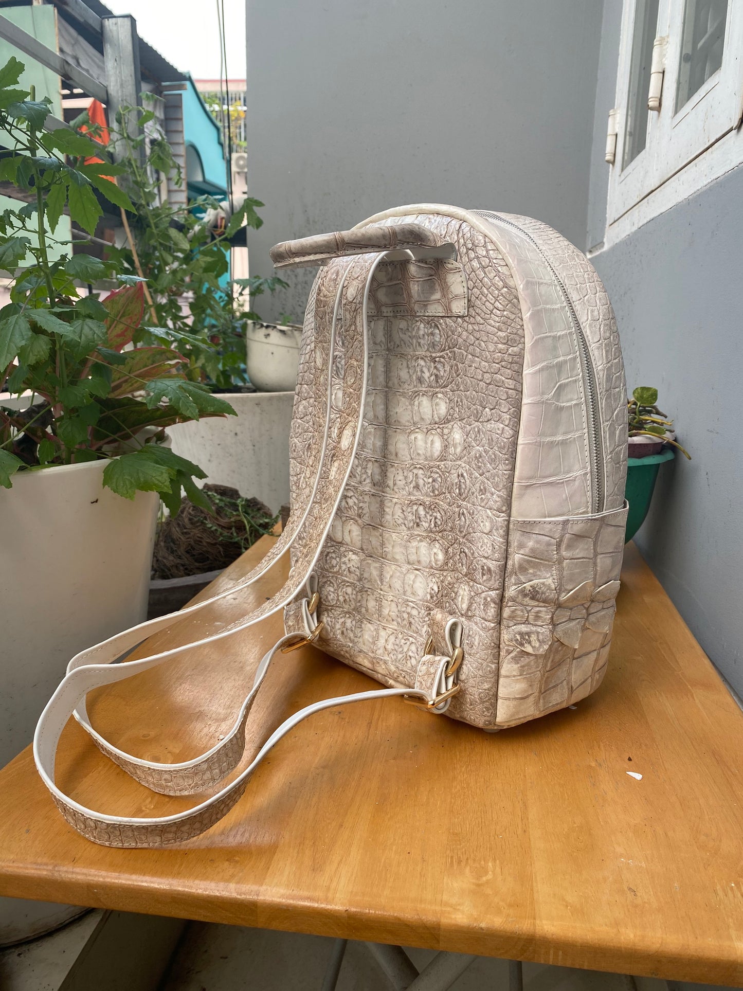 Albino crocodile leather luxury backpack