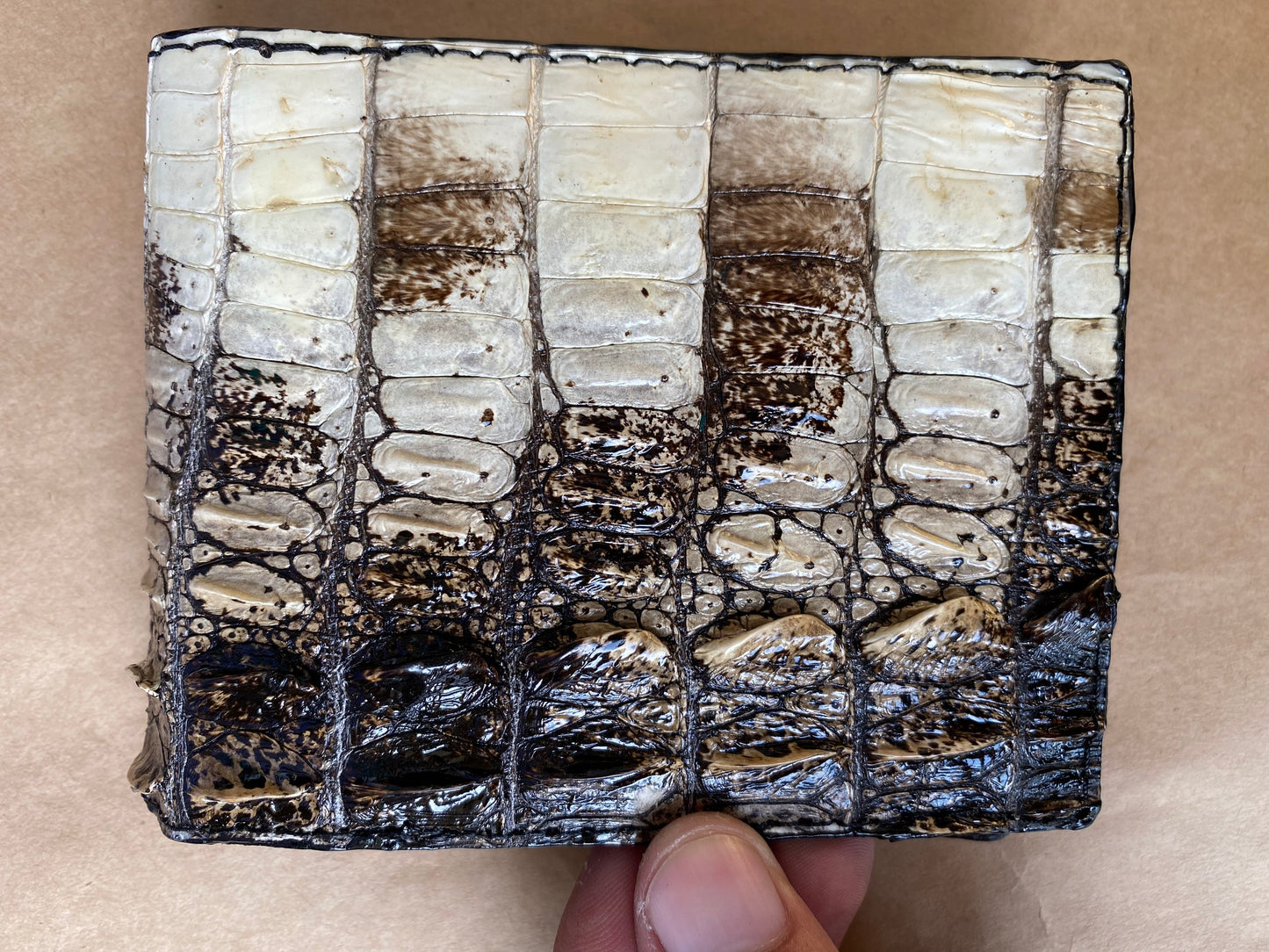 Original alligator leather wallet for men