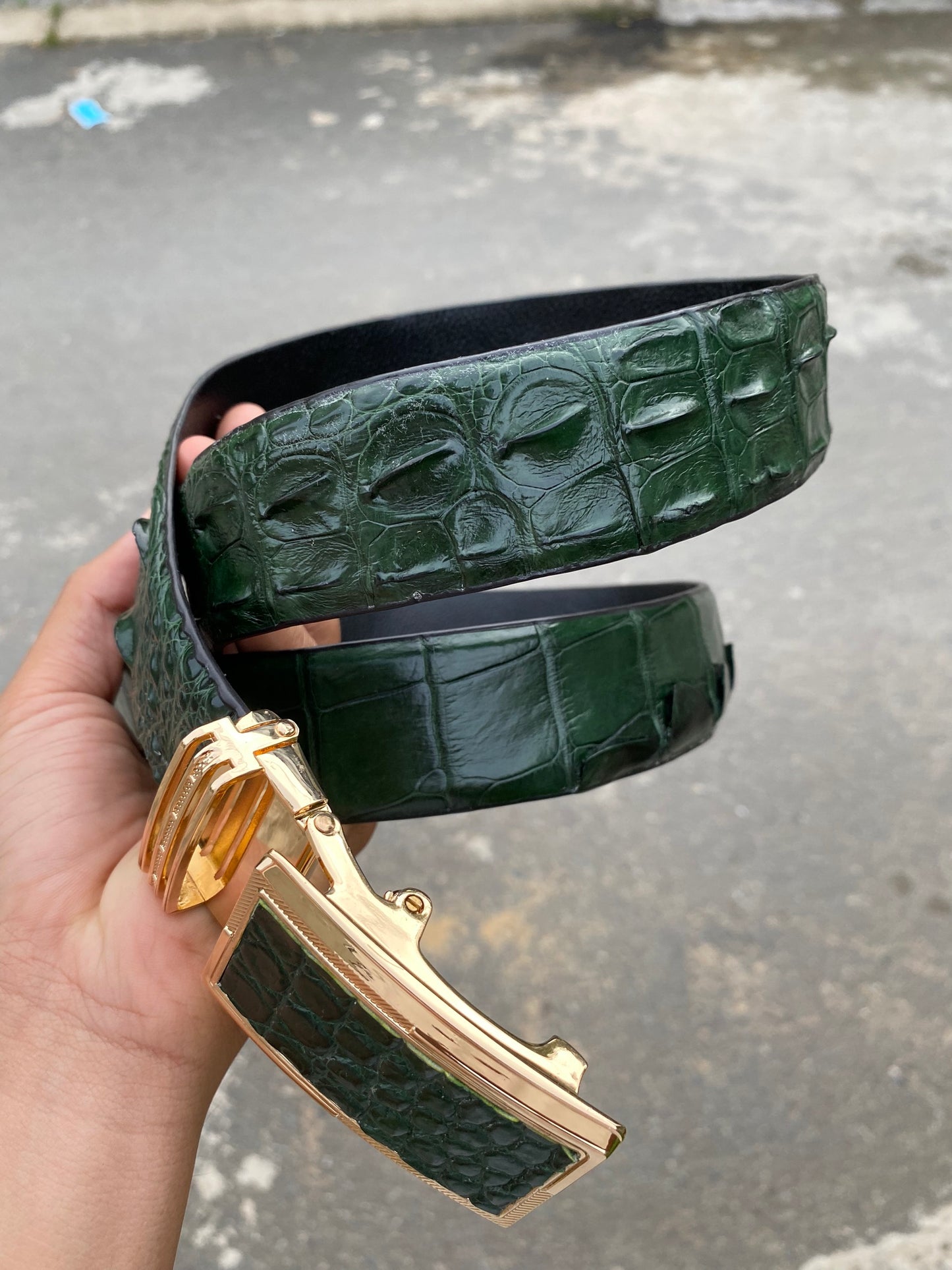 Dark Green Genuine alligator skin belt for men witdh 3.8cm