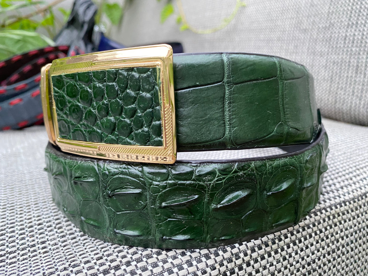 Dark Green Genuine alligator skin belt for men witdh 3.8cm
