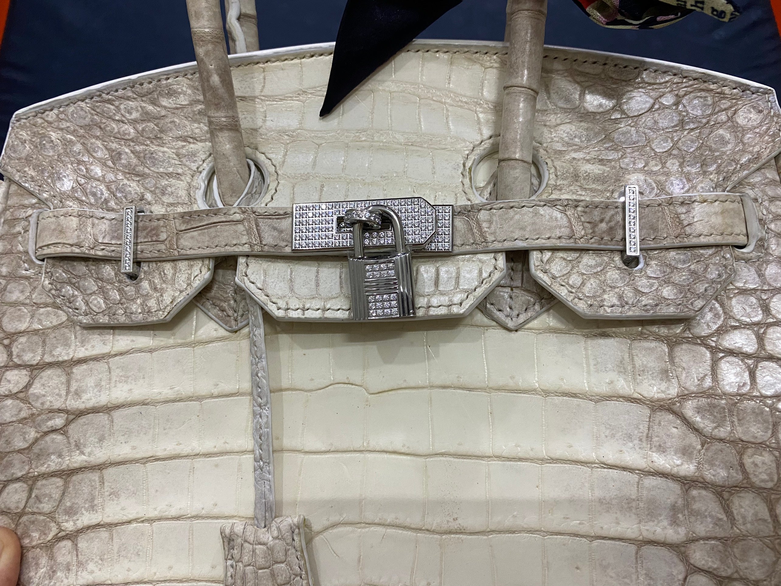 Himalayan outlet crocodile birkin